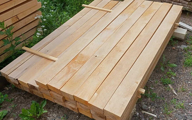 Ольха